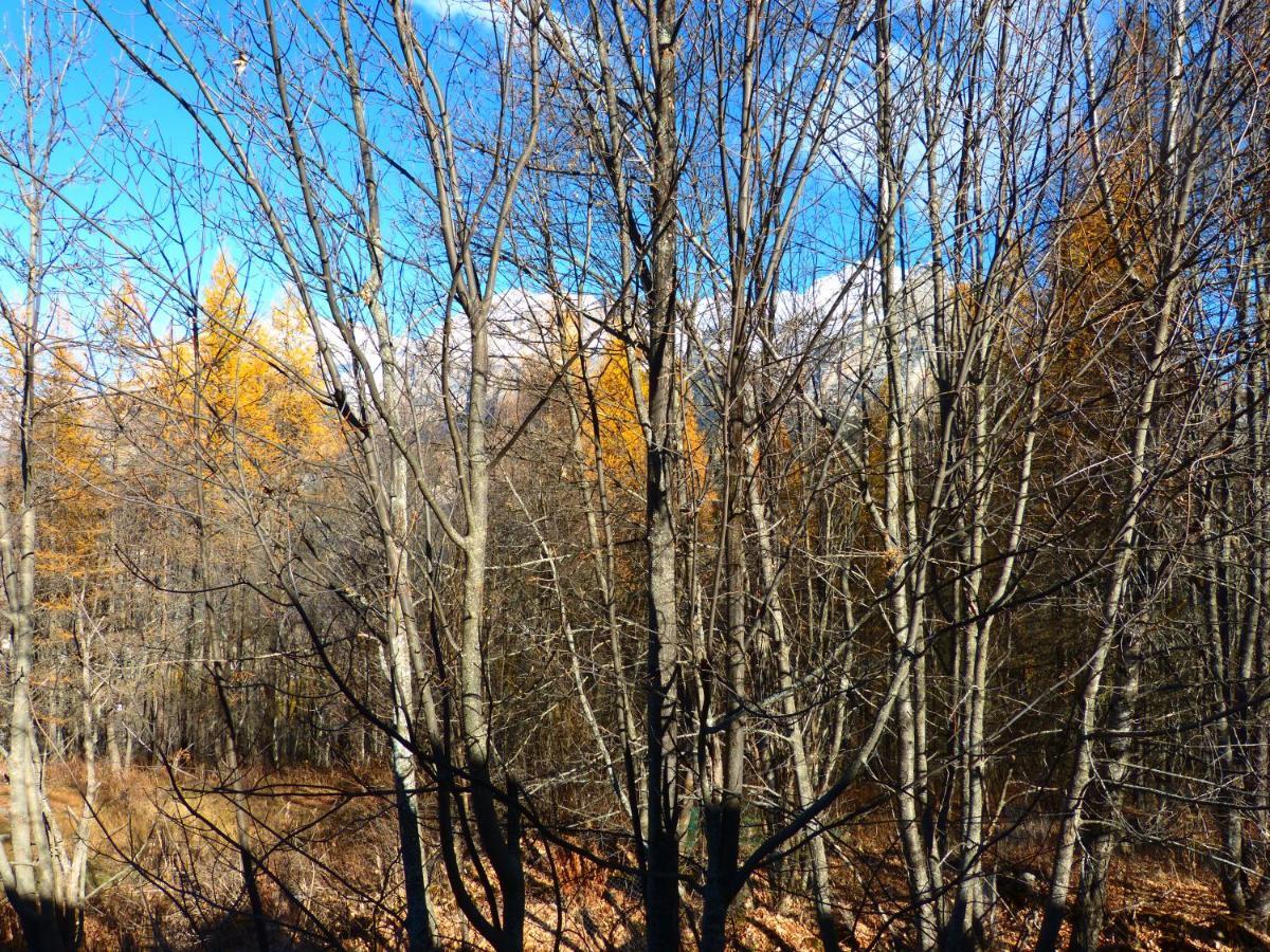 Appartamento La Balme Puy-Saint-Vincent Camera foto
